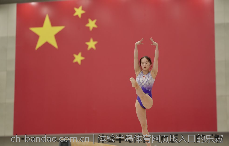 体验半岛体育网页版入口的乐趣
