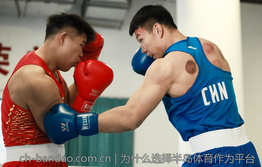 为什么选择半岛体育作为平台